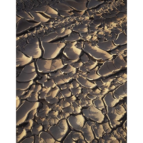 California, Anza-Borrego Patterns of Cracked Mud
